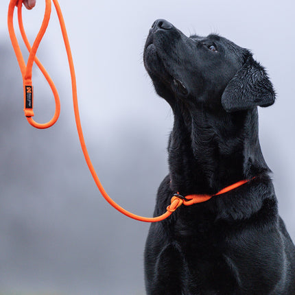 Non-stop dogwear Retriever Leash (Slip leash)