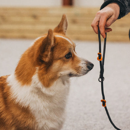 Non-stop dogwear Retriever Leash (Slip leash)