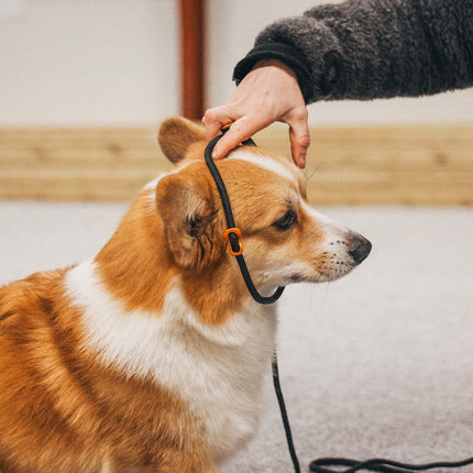 Non-stop dogwear Retriever Leash (Slip leash)