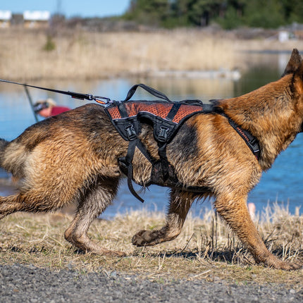 Non-stop dogwear Rock Harness LONG