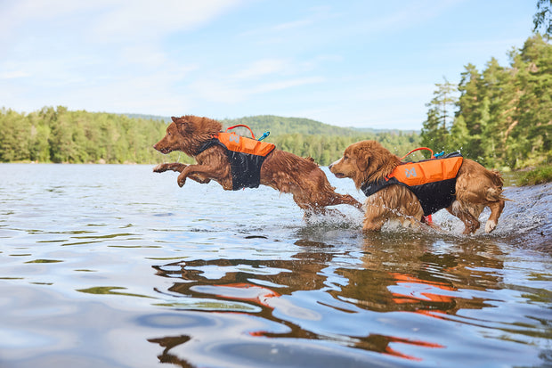 Banner image for: <h2>Swimming</h2>