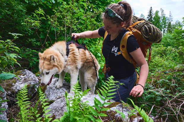Banner image for: <h5></h5><h2>Hiking</h2>