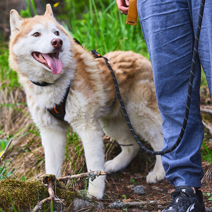 Non-stop dogwear Rock Adjustable Leash