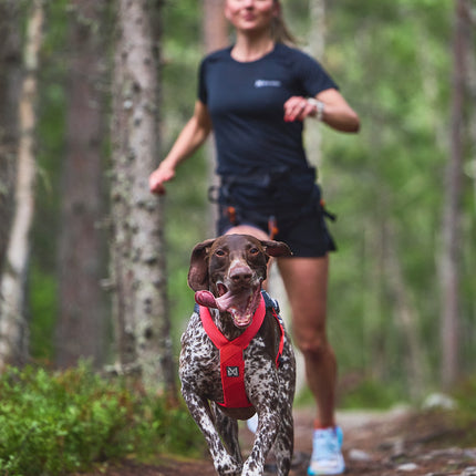 Non-stop dogwear Freemotion Harness 5.0