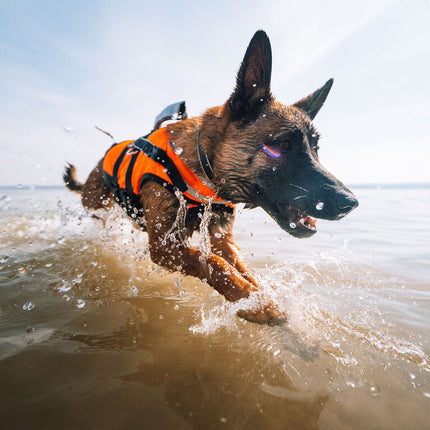 Non-stop dogwear Safe Life Jacket