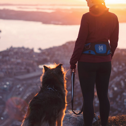 Non-stop dogwear Ferd Belt