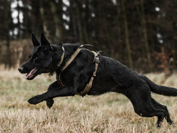 Banner image for: 