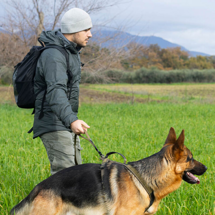 Non-stop dogwear Touring Bungee Leash WD, Olive