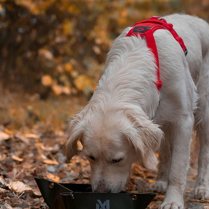 Non-stop dogwear Trekking Bowl
