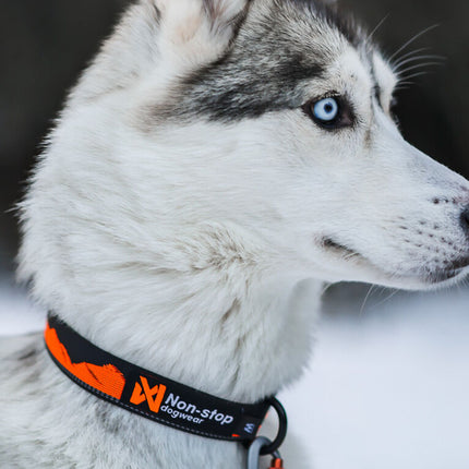 Non-stop dogwear Trial Quest Collar