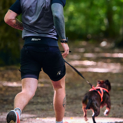 Non-stop dogwear Rush Belt