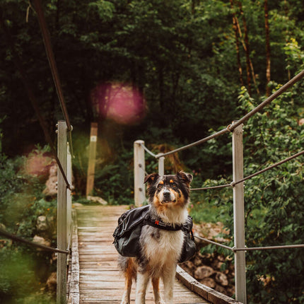 Non-stop dogwear Amundsen Backpack