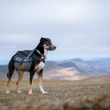 Non-stop dogwear Amundsen Backpack