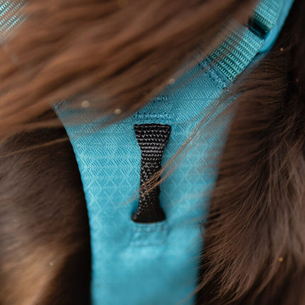 Non-stop dogwear Ramble Harness Long