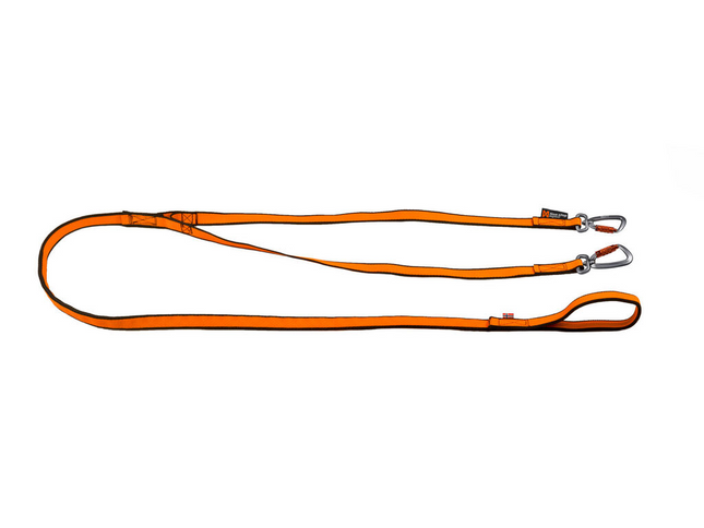 Non-stop dogwear Bungee leash double