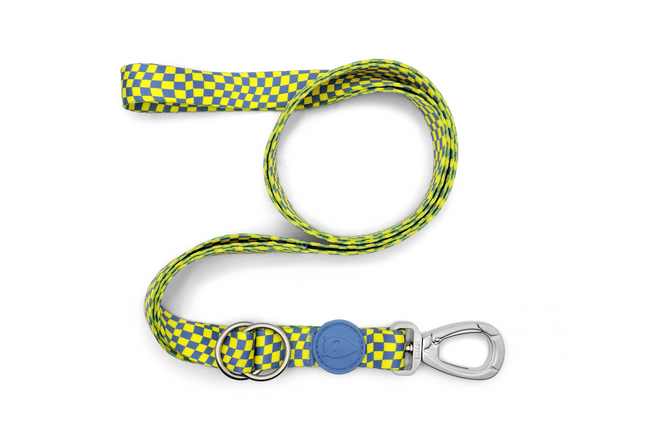 Morso RACE Multi-Leash