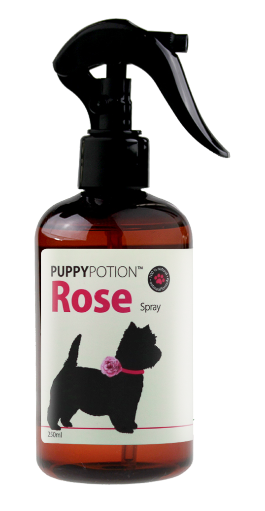 Doggypotion Rose Conditioning Spray