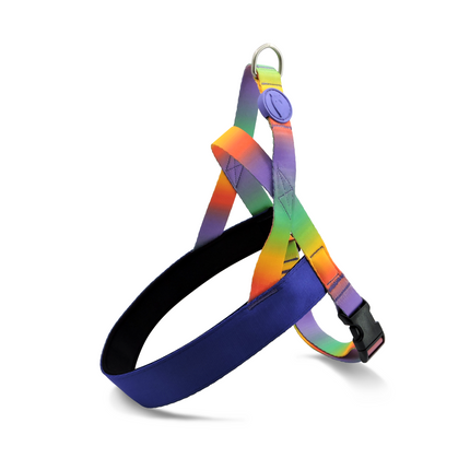 Morso Pett norv SPRING BLOSSOM Harness