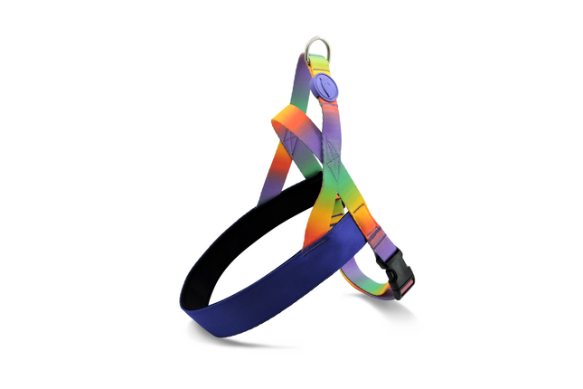 Morso Pett norv SPRING BLOSSOM Harness