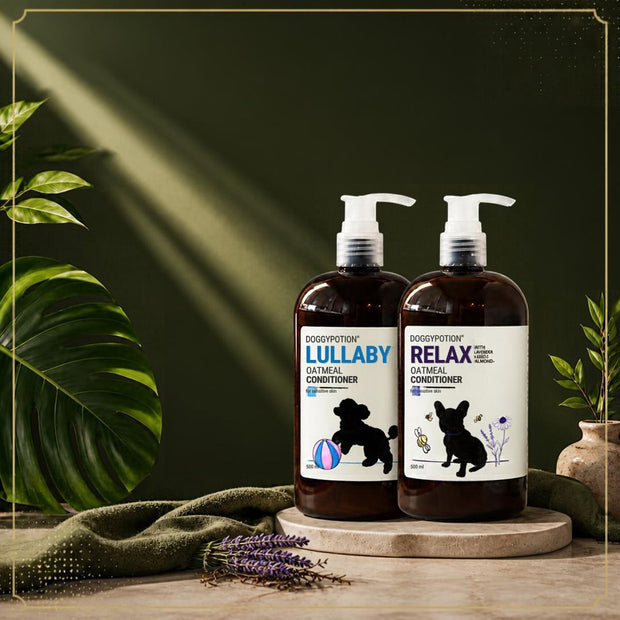 <h2>Conditioner</h2>