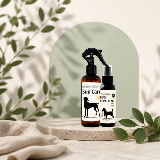 <h2>Outdoor Protection</h2>