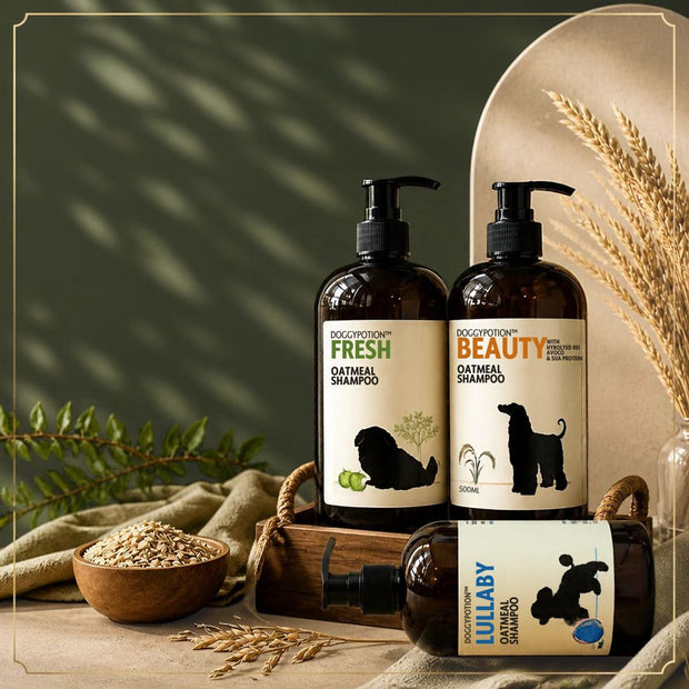 <h2>Shampoo</h2>