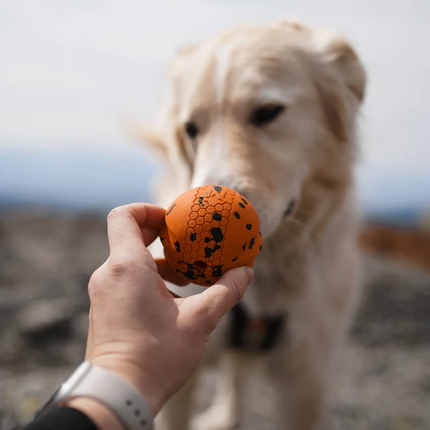Non-stop dogwear Dog ball 70mm