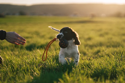Non-stop dogwear Dog Ball on Rope 60mm
