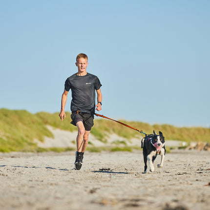 Non-stop dogwear Bungee Leash