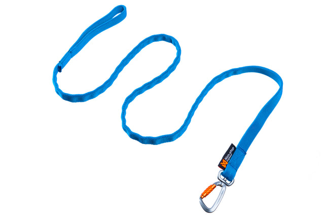 Non-stop dogwear Bungee Leash