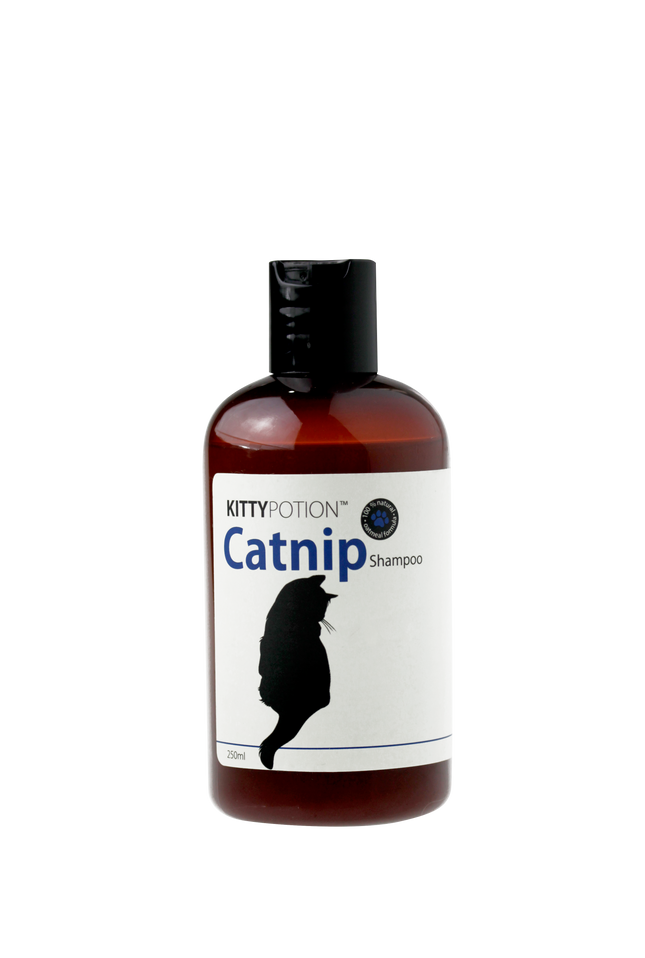 Kittypotion Catnip Shampoo