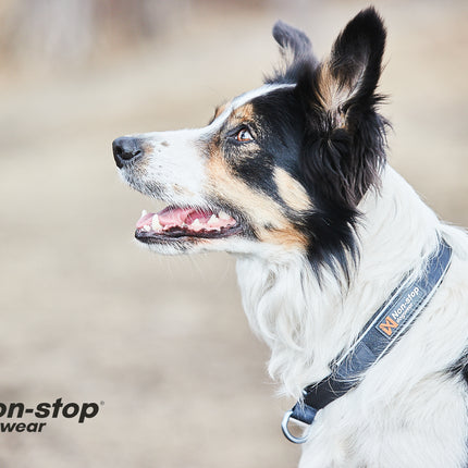 Non-stop dogwear Cruise Collar