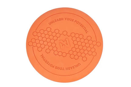 Non-stop dogwear Dog flying disc