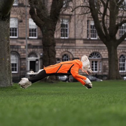 Non-stop dogwear Fjord overall raincoat