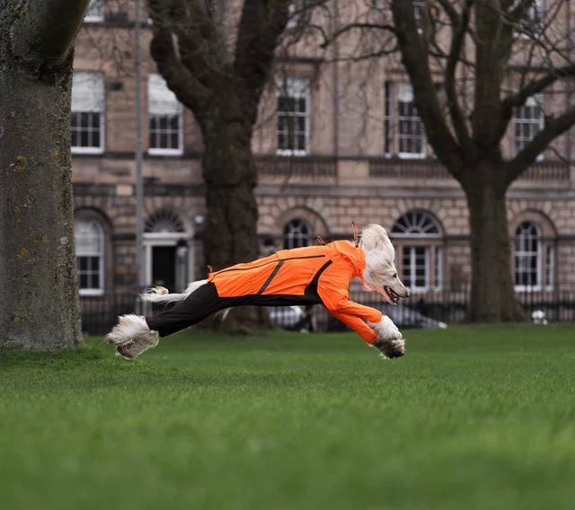 Non-stop dogwear Fjord overall raincoat
