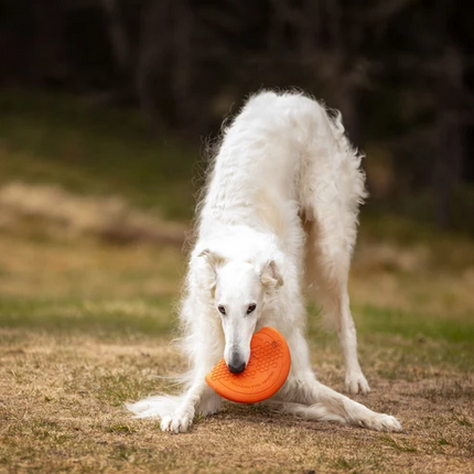 Non-stop dogwear Dog flying disc