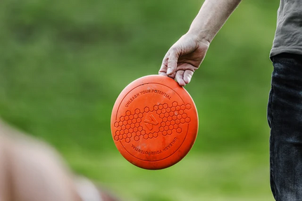 Non-stop dogwear Dog flying disc