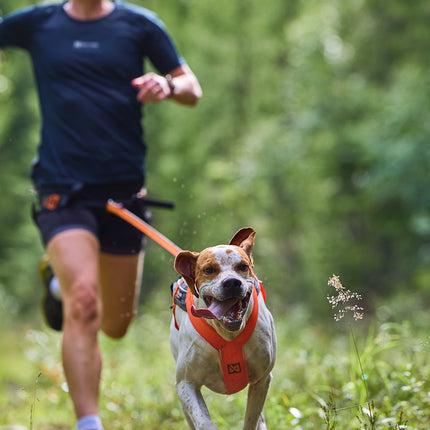 Non-stop dogwear Freemotion Harness 5.0