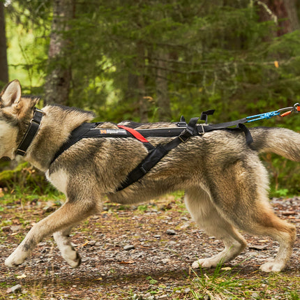 Non-stop dogwear Freemotion Harness