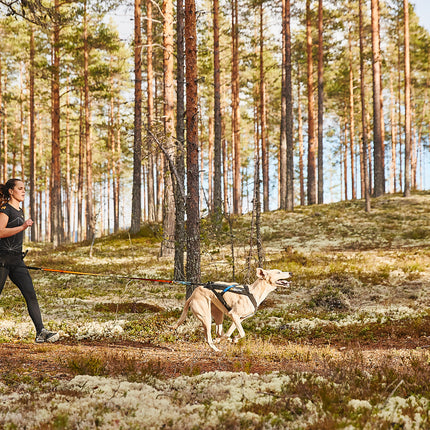 Non-stop dogwear Freemotion Harness