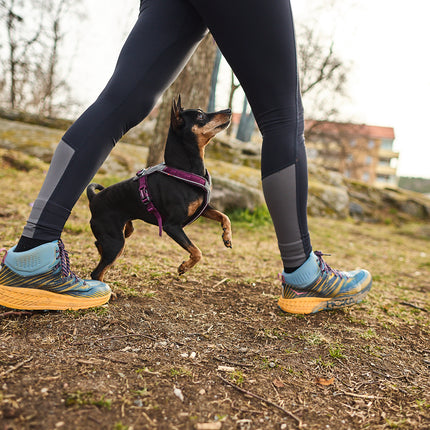 Non-stop dogwear Line Harness