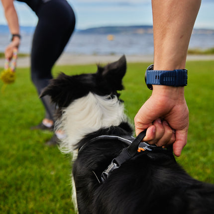 Non-stop dogwear Line Harness GRIP