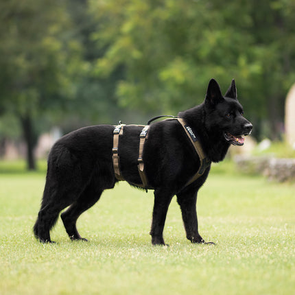 Non-stop dogwear Line Harness Long, WD`