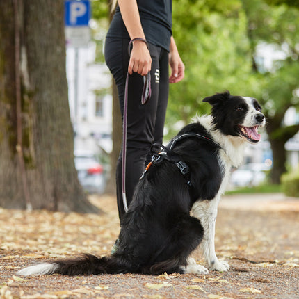Non-stop dogwear Move Leash