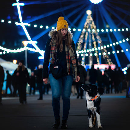 Non-stop dogwear Safe Collar