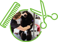 Pet Grooming