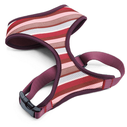Morso Air mesh SKYLINE Harness