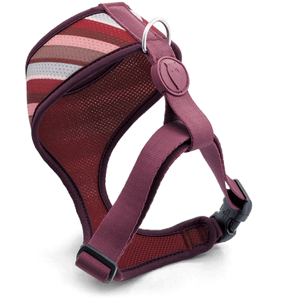Morso Air mesh SKYLINE Harness
