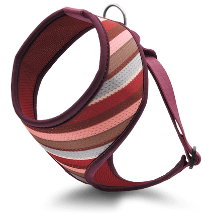 Morso Air mesh SKYLINE Harness