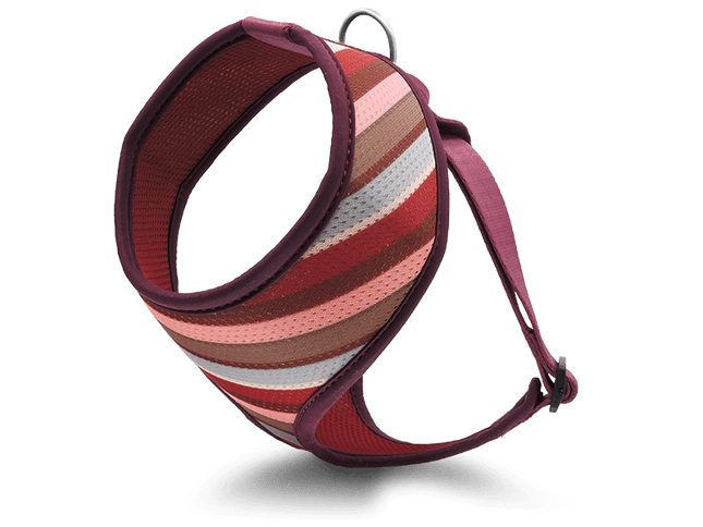 Morso Air mesh SKYLINE Harness